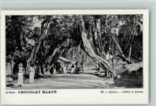 Nr. 23 - Ceylon, Arbres et Routes - Volkstypen Klaus Schokolade
