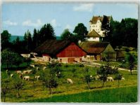 9507 Stettfurt Foto AK Schloss Sonnenberg Kühe
