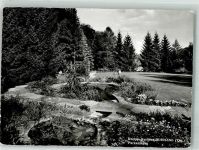 8374 Dussnang 1956 Foto AK Parkanlagen