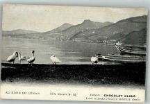 Gänse und Schwäne am Ufer des Genfersee Klaus Schokolade Werbe AK