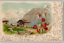 3818 Grindelwald 1899 Lithographie Wenger Alp