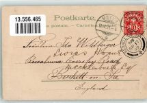 3818 Grindelwald 1899 Lithographie Wenger Alp
