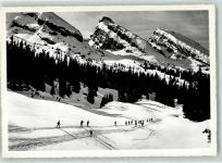 Alp Sellamatt - Langläufer Churfirsten