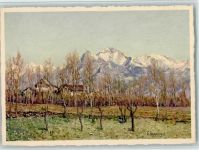 6596 Gordola - Bienfaisance Für die Schwerhörigen Vorfrühling sign Zuppinger E.