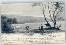 2013 Colombier NE - Bords du lac de Neuchatel