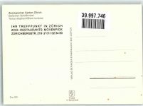 Elefanten-Schildkröte Zoo