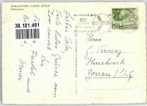 Zürich Schimpansen Zoo