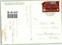 Zürich Schimpansen Toni u. Susi Zoo