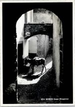 6777 Ronco Quinto - Esel , Altstadt