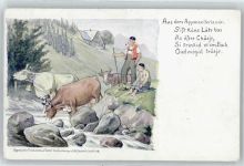 9050 Appenzell - Kuh