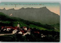 1867 Ollon VD Foto AK Le Petit Muveran