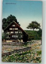 9428 Walzenhausen 1917 Foto AK Appenzellerhaus Ort lt. Stempel