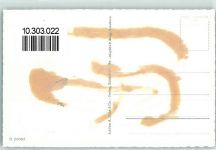 3704 Krattigen Gebrauchsspuren Fliegeraufnahme