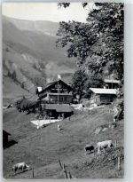 Planalp - Jugendheim Planalp