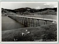8840 Einsiedeln - Sihlseeviadukt Kühe