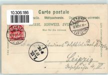 1200 Genève Genf 1895 - Brücke Edelweiss Dekor