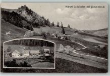 4438 Langenbruck 1917 - Kurort Bachthalen , Teilansicht AK