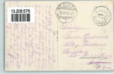 4438 Langenbruck 1917 - Kurort Bachthalen , Teilansicht AK