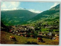 7250 Klosters - Kühe Madrisa