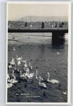 1200 Genève Genf - Schwan, Brücke AKU2