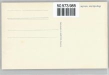 1200 Genève Genf - Schwan, Brücke AKU2