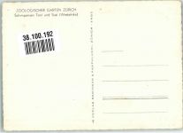 Zürich Schimpanse Toni und Susi Westafrika Zoo