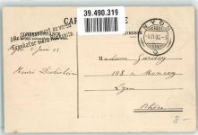 Genfersee Lac Leman Raddampfer Möwen Binnenschiff 1906