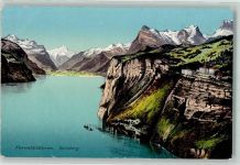 6377 Seelisberg Foto AK Vierwaldstättersee Grand Hotel Sonnenberg Foto Goetz