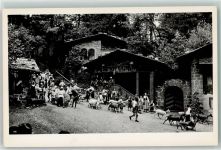 3800 Interlaken - Tell Freilicht Spiele Alpabzug