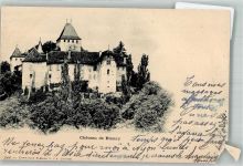 1807 Blonay 1901 Foto AK Schloss