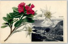 3920 Zermatt Lithographie Edelweiss Matterhorn