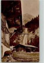 3775 Lenk im Simmental - Altes Zollhaus Ziege