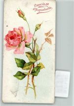 Rose Cocolat d`Aiguebelle Schokolade Werbe AK