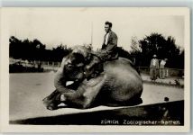 Elefant mit Einem Tierpfleger Foto Paul Bender AK Zoo 1940 Gebrauchsspuren