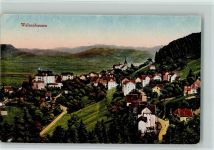 9428 Walzenhausen - Ortsansicht