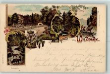 Zürich Wildpark Waldpartie Hirsch Rehe Forsthaus Künzli 1898 Lithographie