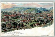 Winterthur Blick vom Bäumli gegen den Brühlberg Serie Winterthur Steinmann Lithographie