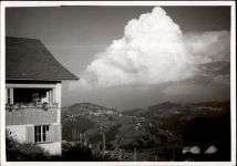 9043 Trogen