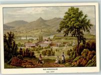 5116 Schinznach Bad Gebrauchsspuren Werbung Schwefelbad anno 1830 Künstlerkarte Holzfäller