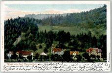 8487 Rämismühle Lithographie Asyl Remismühle