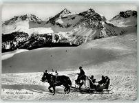 7050 Arosa - Pferdekutsche auf dem Arlenwaldweg Winter