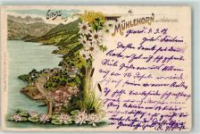 8874 Mühlehorn 1901