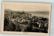 8820 Wädenswil 1913 Foto AK