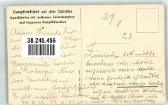 Ufenau Insel 1923 Foto AK Salondampfer Zürichsee Insel Ufenau