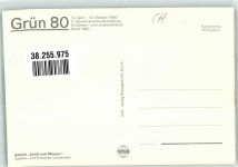 4000 Basel Bâle Foto AK Ausstellung Grün 80