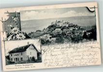 8158 Regensberg 1903 Foto AK Burg Pension Rosengarten