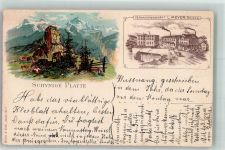 Schynige Platte 1899 Lithographie Schynige Platte Werbung Versandgeschäft Fabrik Meyer Reiden