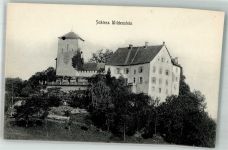 4416 Bubendorf Foto AK Schloss Wildenstein
