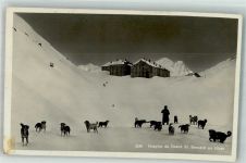 Grand-St-Bernard Winter Hospiz du Grand St. Bernhard Hunde Bernhardiner
