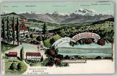 8127 Forch Lithographie Gasthaus und Pension Wassberg